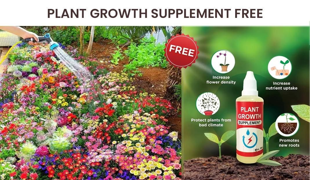 100 Flower Seed Mix + Free Growth Booster 🌸🌱